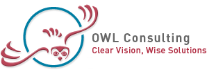 owl consulting - clear vision, wise solution